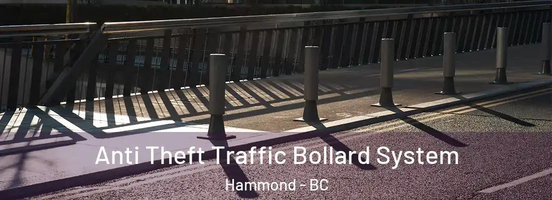  Anti Theft Traffic Bollard System Hammond - BC