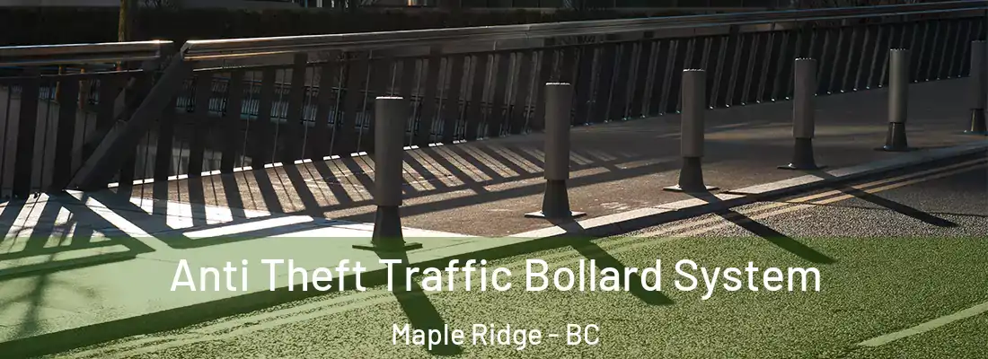  Anti Theft Traffic Bollard System Maple Ridge - BC