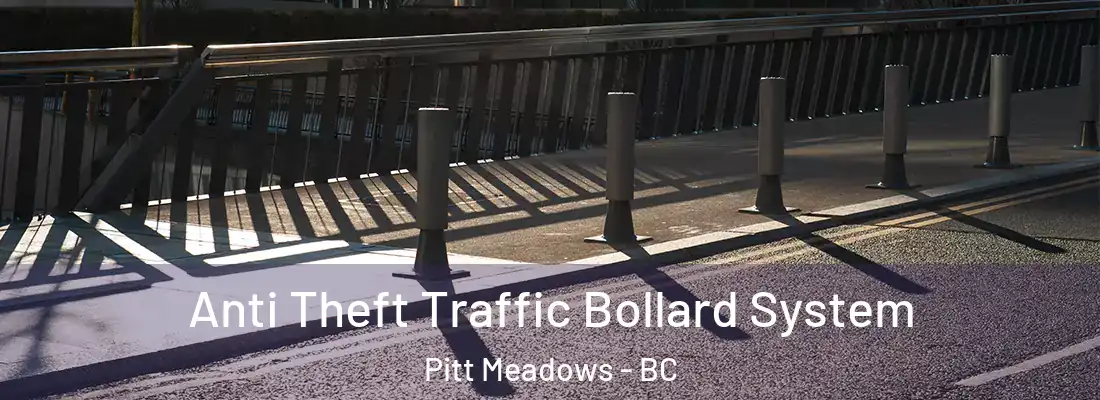  Anti Theft Traffic Bollard System Pitt Meadows - BC