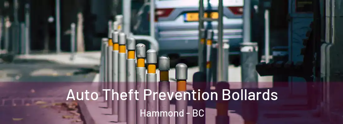  Auto Theft Prevention Bollards Hammond - BC