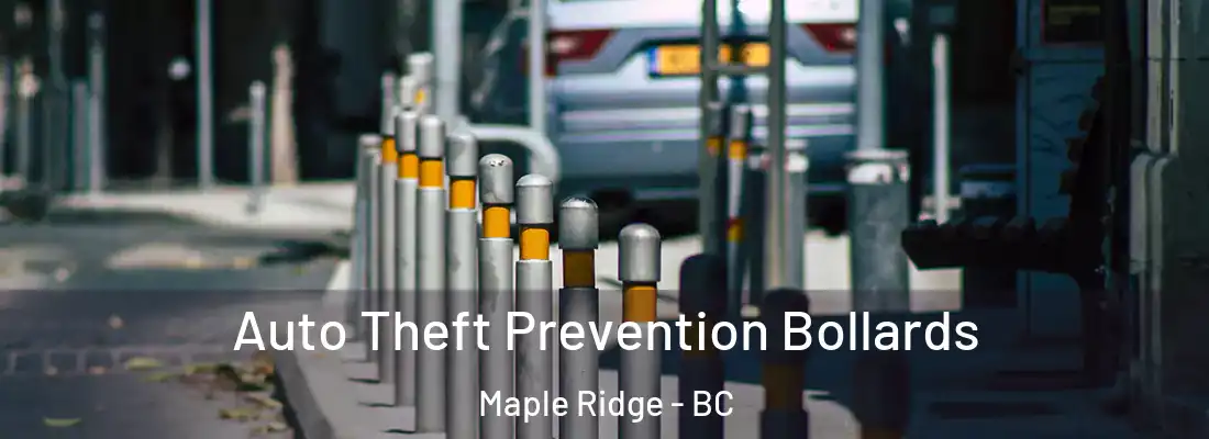  Auto Theft Prevention Bollards Maple Ridge - BC