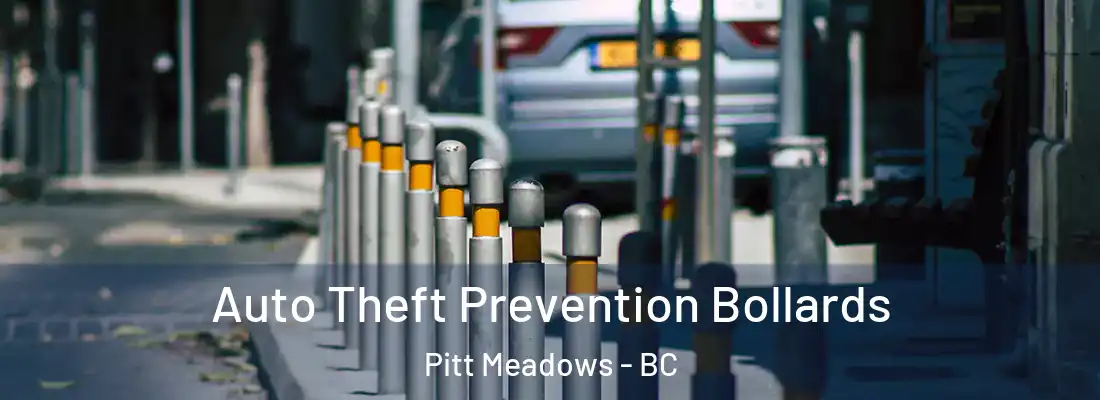  Auto Theft Prevention Bollards Pitt Meadows - BC