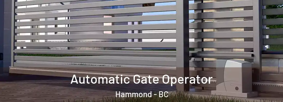  Automatic Gate Operator Hammond - BC