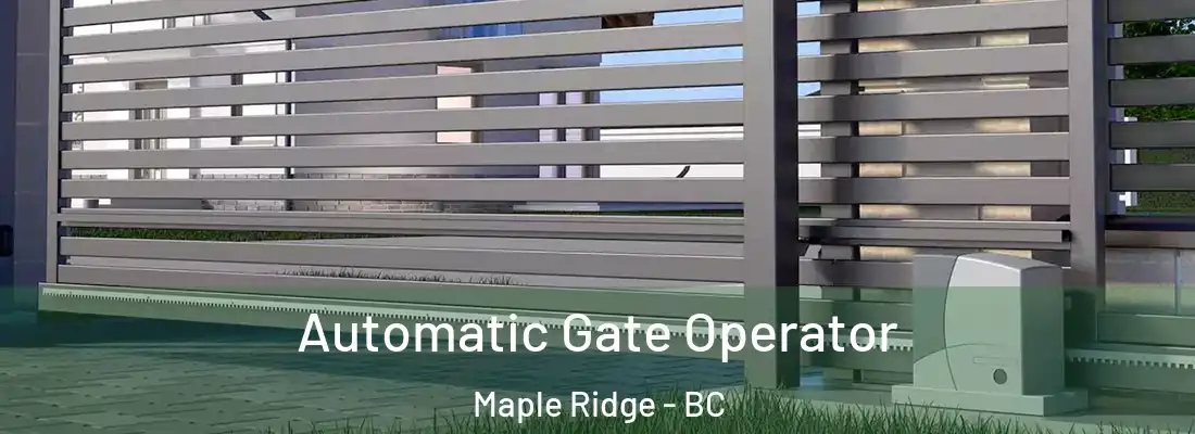  Automatic Gate Operator Maple Ridge - BC