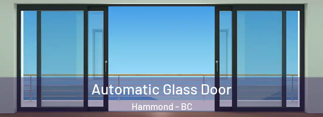  Automatic Glass Door Hammond - BC