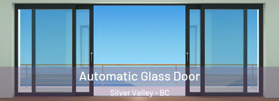  Automatic Glass Door Silver Valley - BC