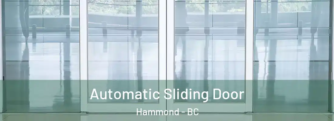  Automatic Sliding Door Hammond - BC