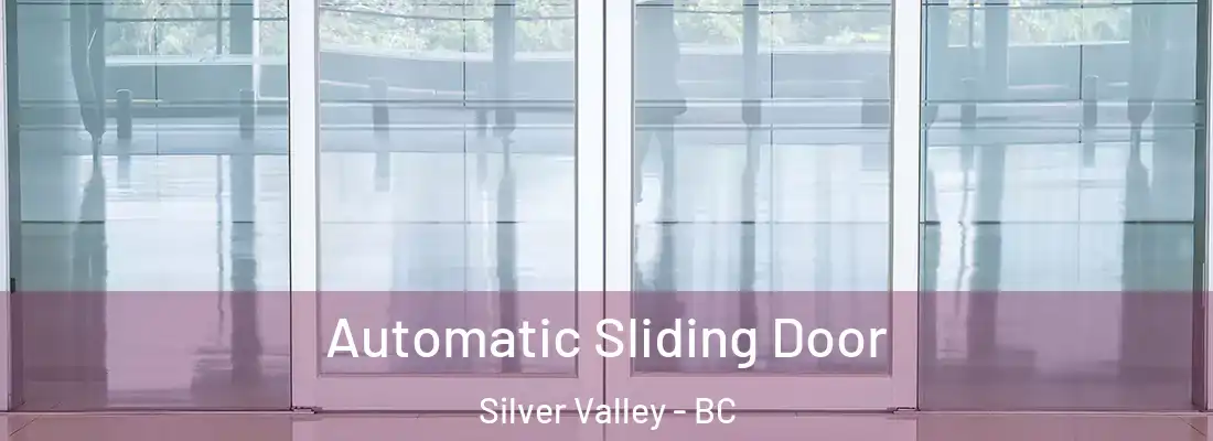  Automatic Sliding Door Silver Valley - BC