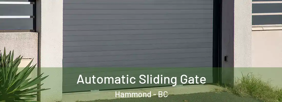  Automatic Sliding Gate Hammond - BC