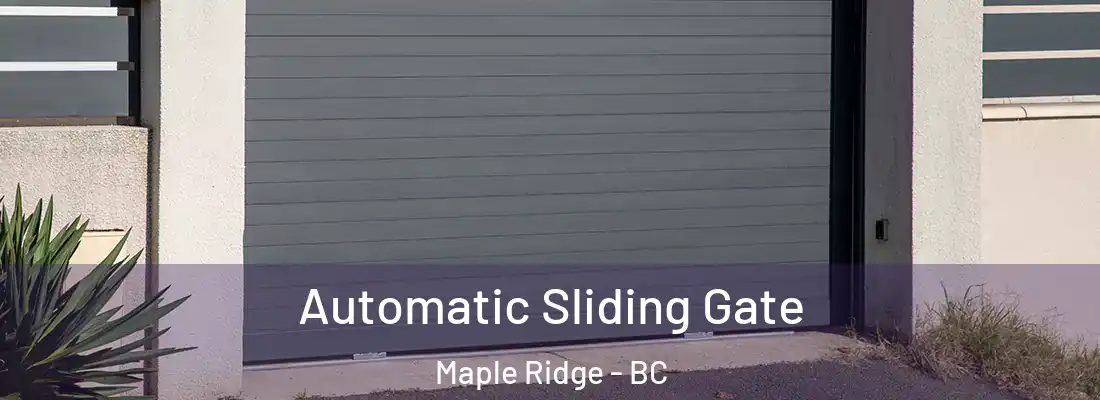  Automatic Sliding Gate Maple Ridge - BC