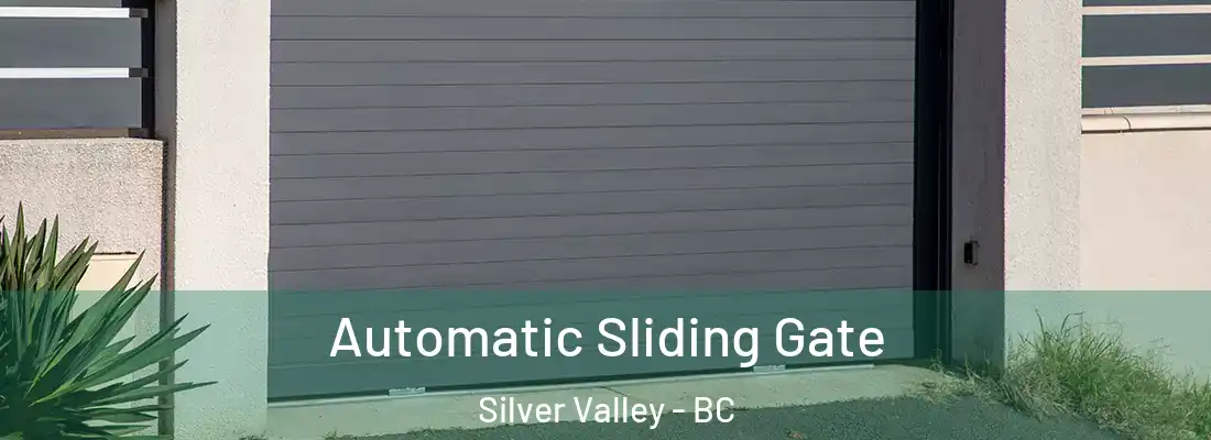  Automatic Sliding Gate Silver Valley - BC