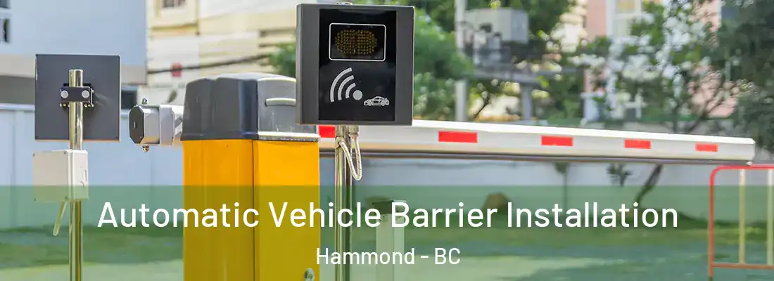  Automatic Vehicle Barrier Installation Hammond - BC