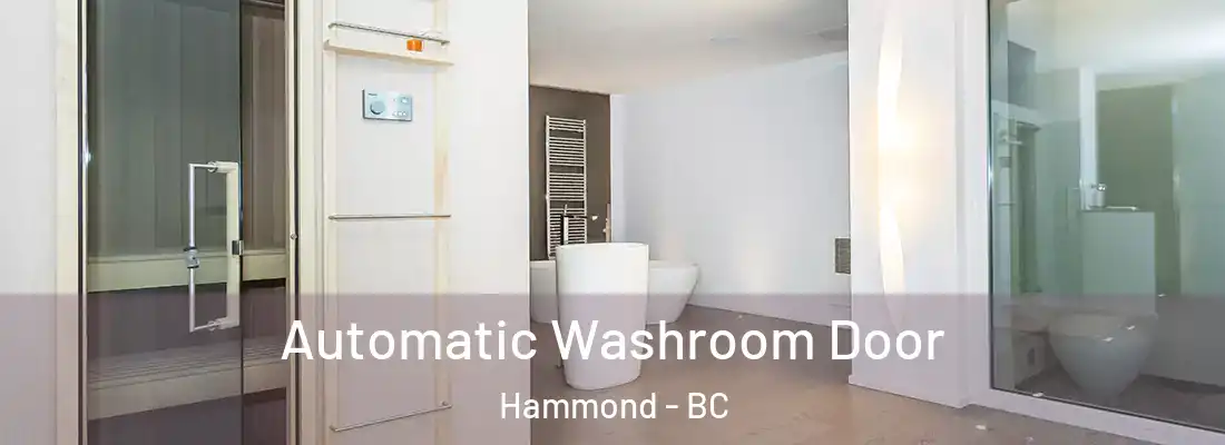  Automatic Washroom Door Hammond - BC