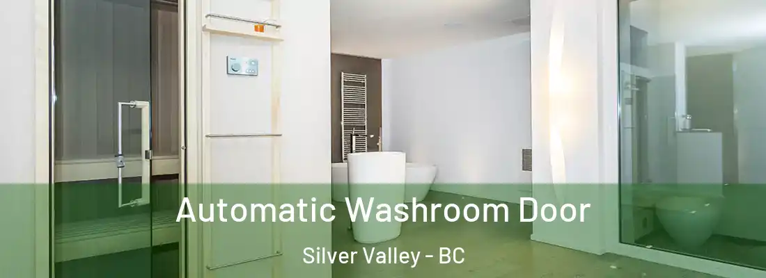  Automatic Washroom Door Silver Valley - BC