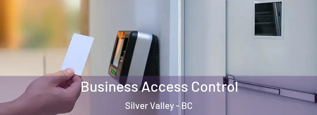  Business Access Control Silver Valley - BC
