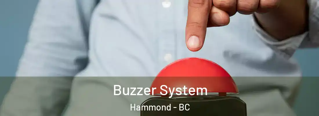  Buzzer System Hammond - BC