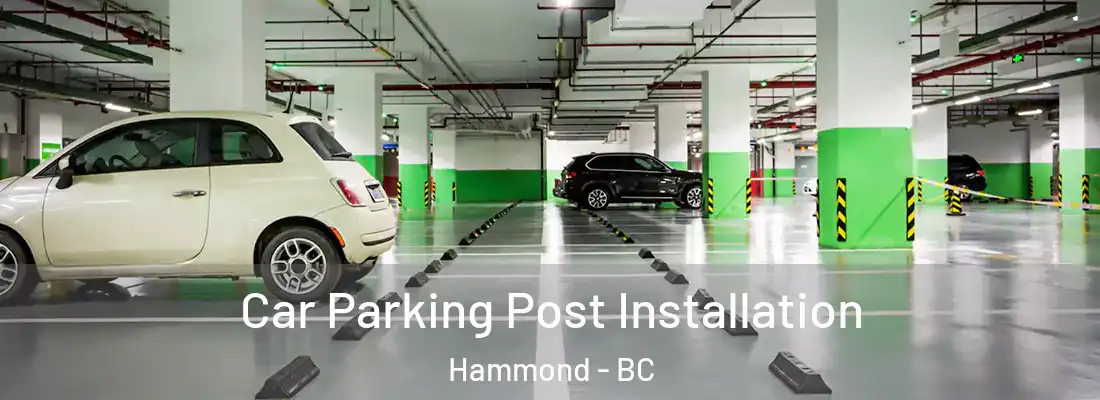  Car Parking Post Installation Hammond - BC