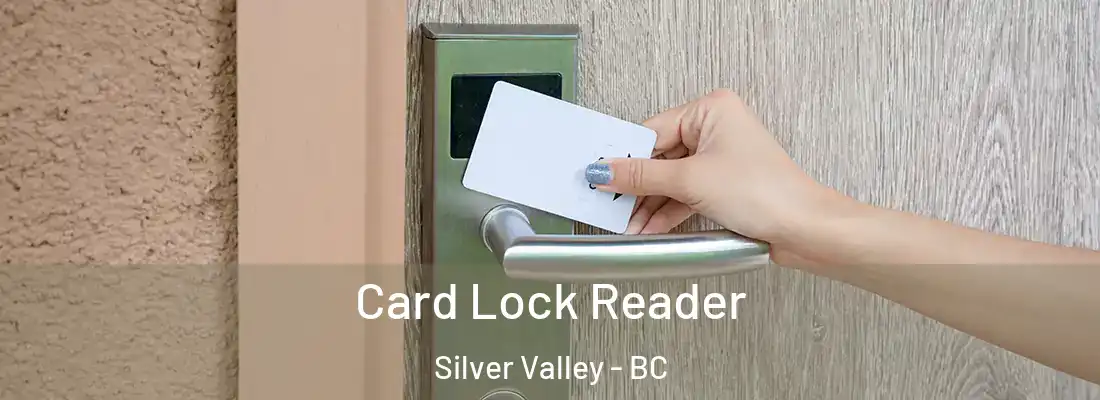 Card Lock Reader Silver Valley - BC