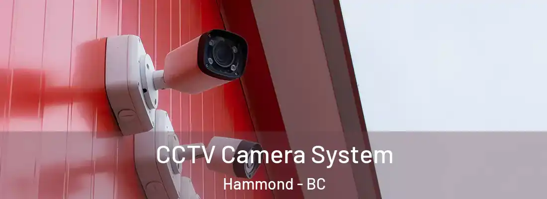  CCTV Camera System Hammond - BC