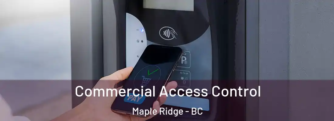  Commercial Access Control Maple Ridge - BC
