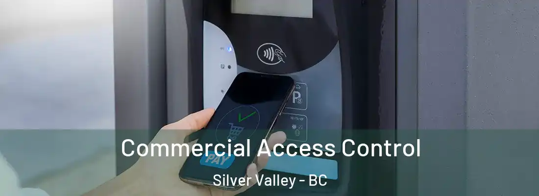  Commercial Access Control Silver Valley - BC