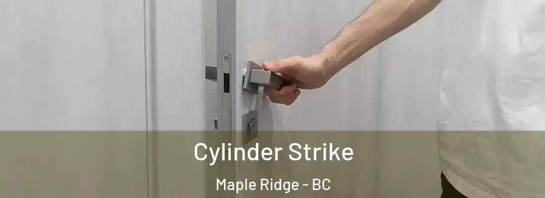  Cylinder Strike Maple Ridge - BC