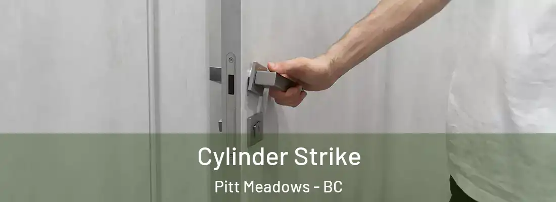  Cylinder Strike Pitt Meadows - BC