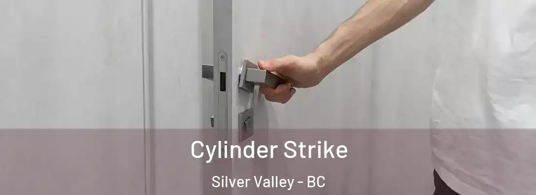  Cylinder Strike Silver Valley - BC