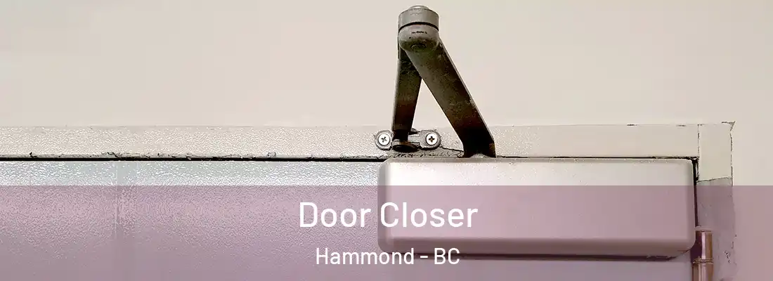  Door Closer Hammond - BC