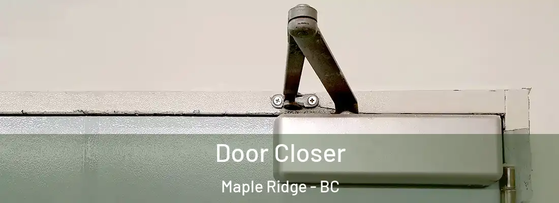  Door Closer Maple Ridge - BC