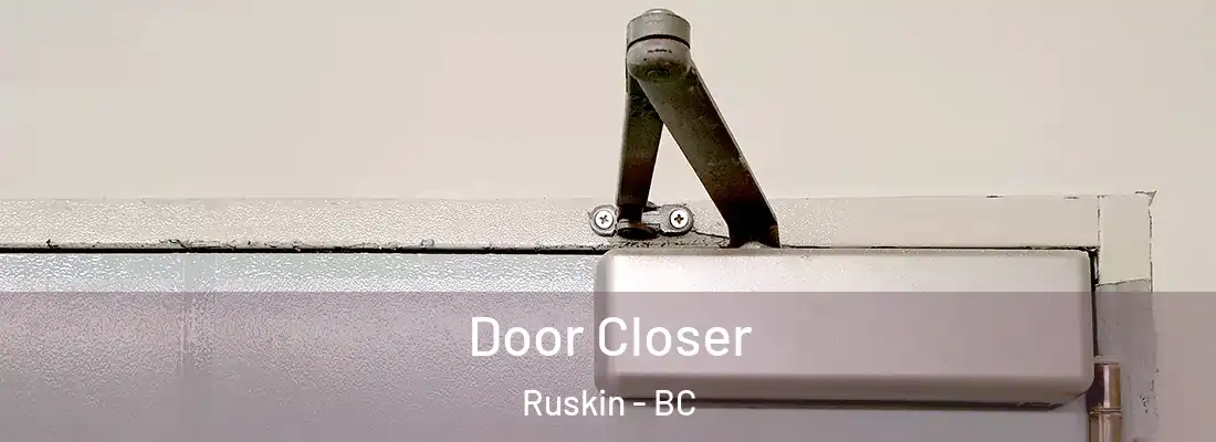 Door Closer Ruskin - BC