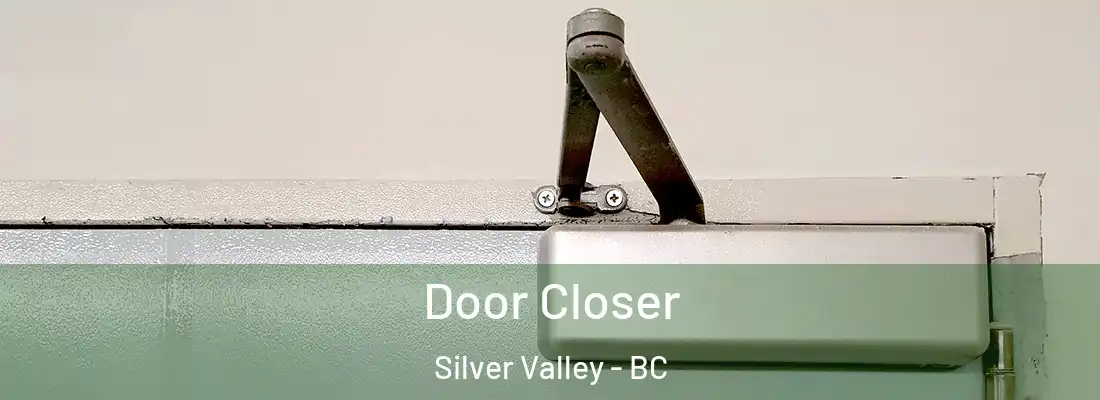  Door Closer Silver Valley - BC