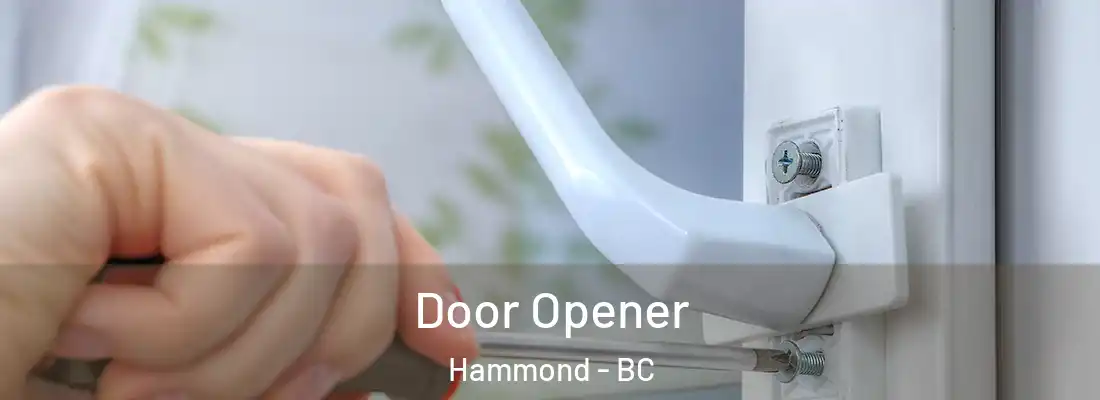  Door Opener Hammond - BC