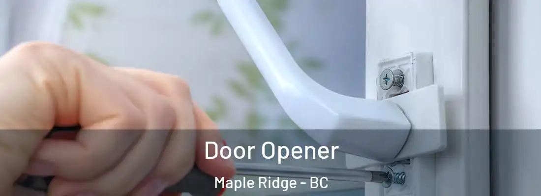  Door Opener Maple Ridge - BC