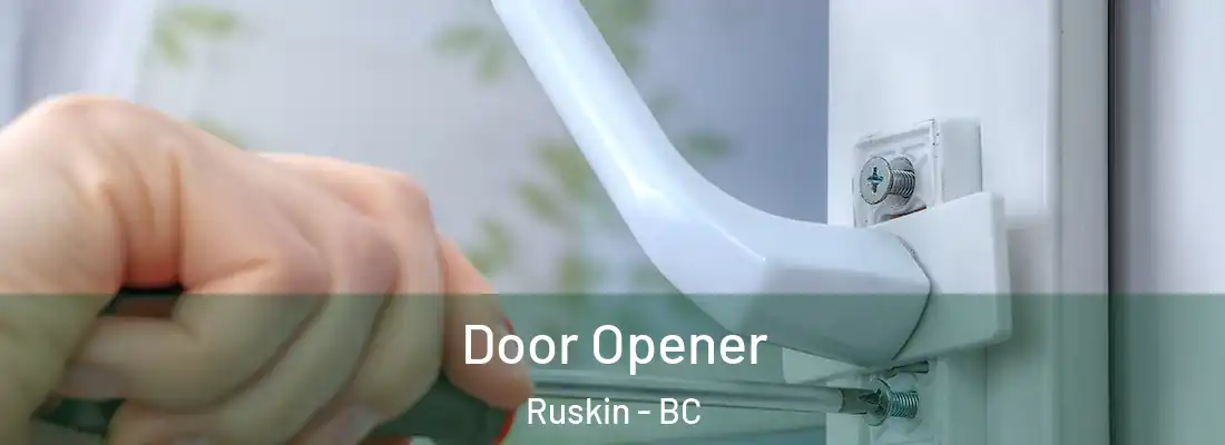  Door Opener Ruskin - BC