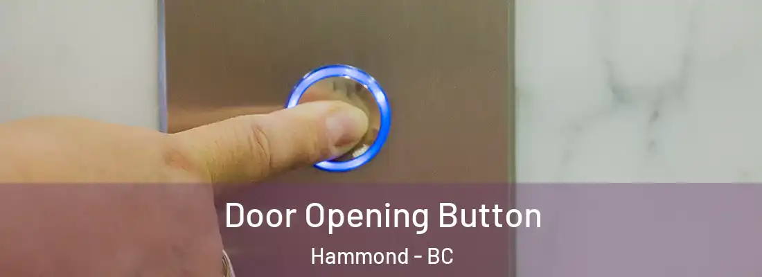  Door Opening Button Hammond - BC