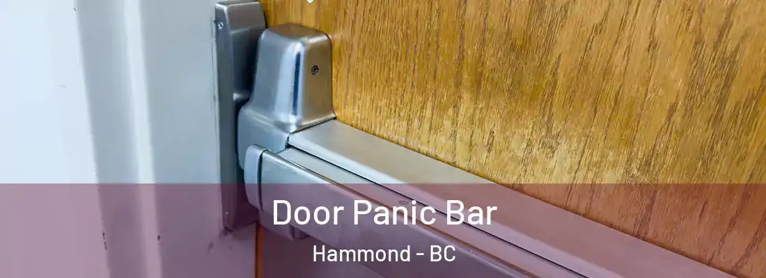  Door Panic Bar Hammond - BC