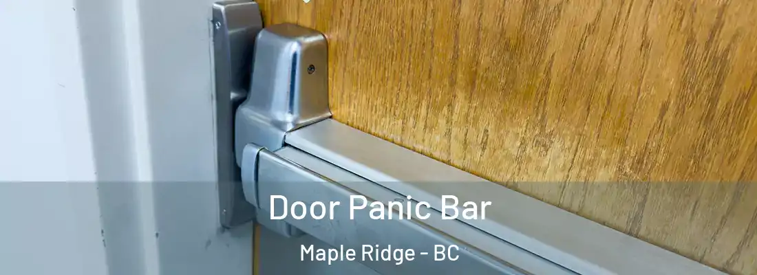  Door Panic Bar Maple Ridge - BC
