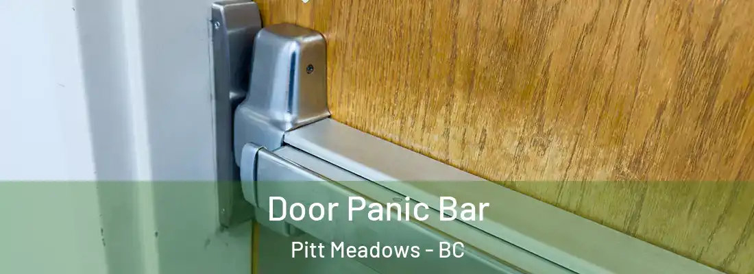  Door Panic Bar Pitt Meadows - BC