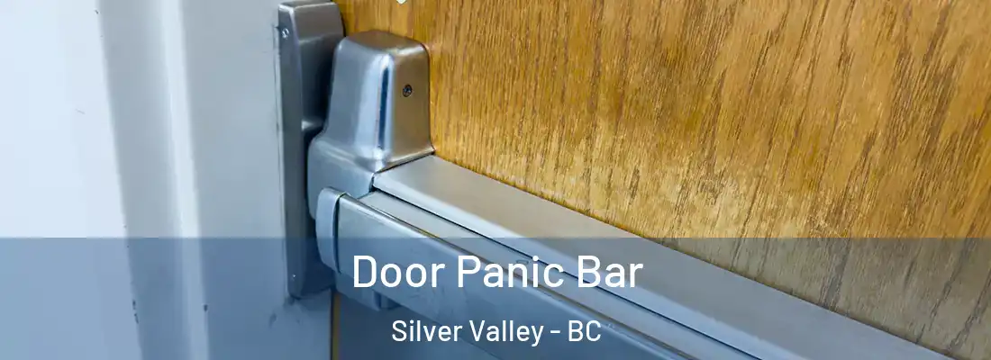  Door Panic Bar Silver Valley - BC