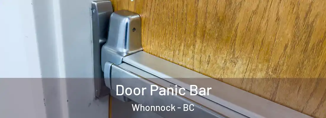  Door Panic Bar Whonnock - BC