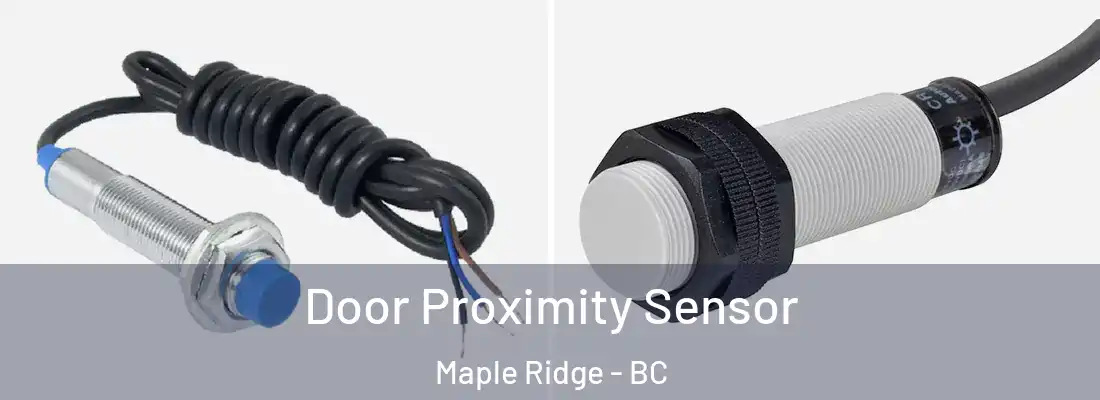  Door Proximity Sensor Maple Ridge - BC