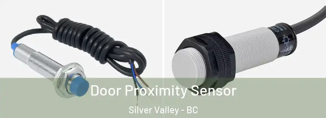  Door Proximity Sensor Silver Valley - BC