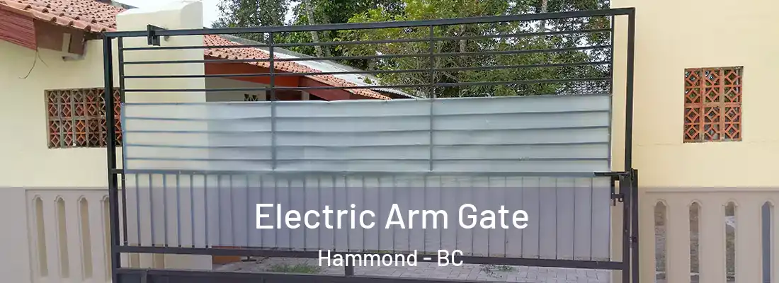 Electric Arm Gate Hammond - BC