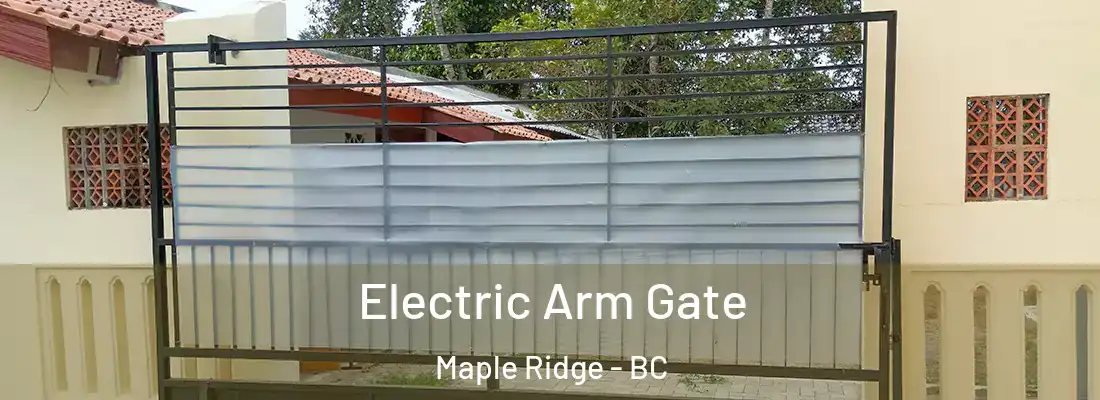  Electric Arm Gate Maple Ridge - BC