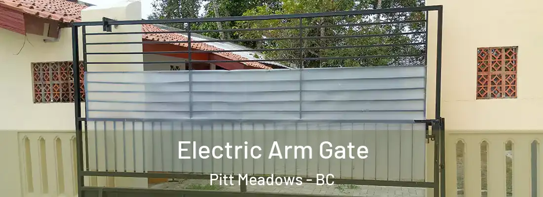  Electric Arm Gate Pitt Meadows - BC