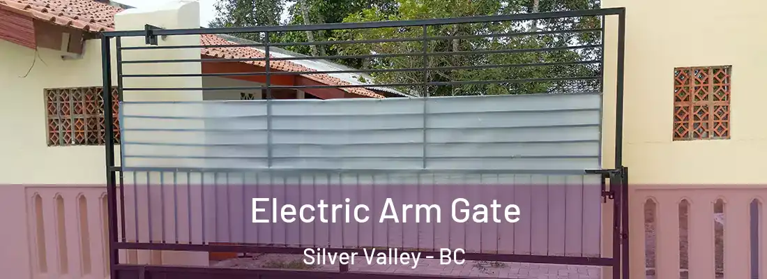  Electric Arm Gate Silver Valley - BC