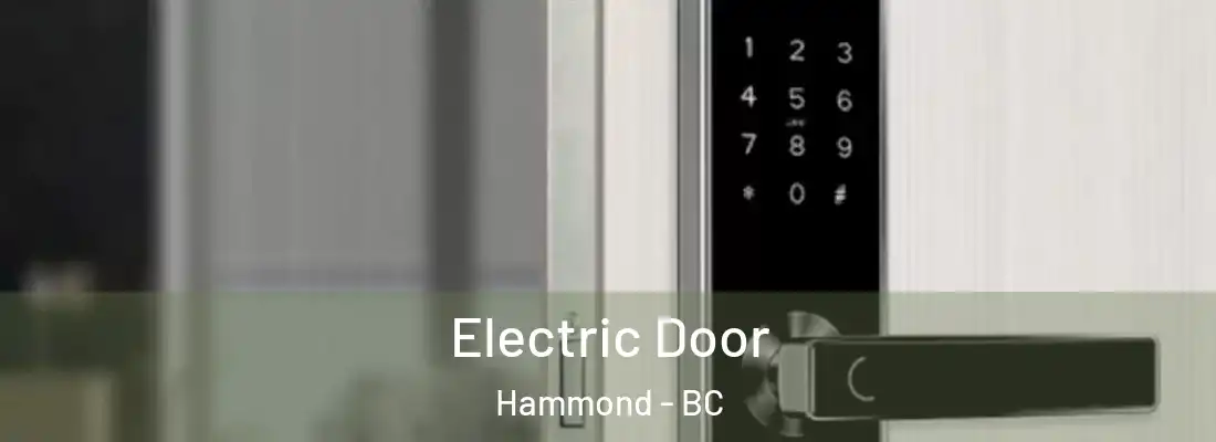  Electric Door Hammond - BC