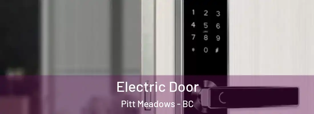  Electric Door Pitt Meadows - BC