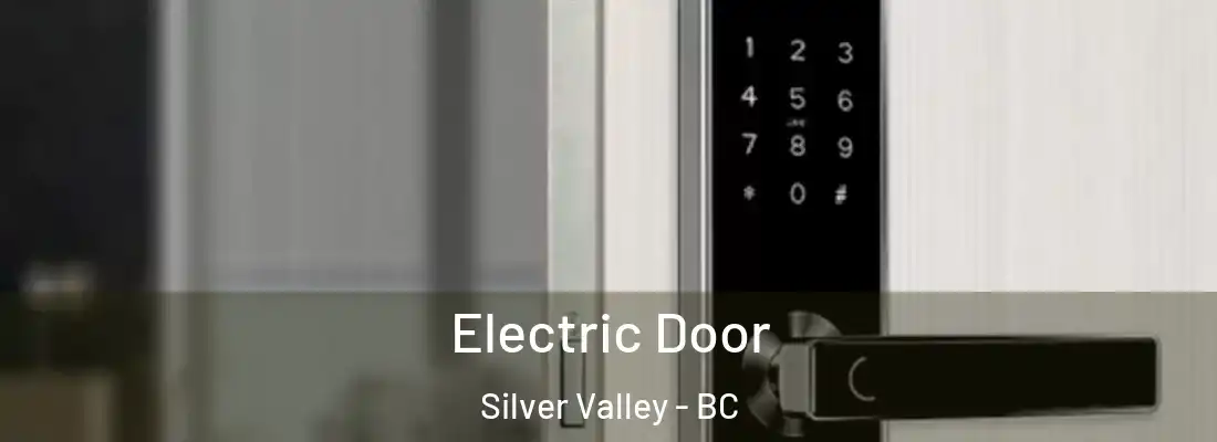  Electric Door Silver Valley - BC